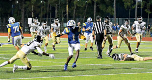 Lions sweep Braves off the field