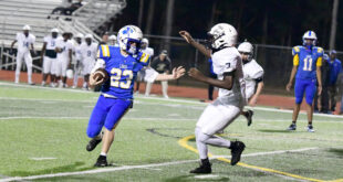 Lions send Dolphins  swimming all the way home